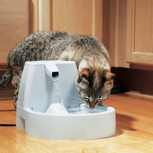 Fontaine à Eau Automatique PetSafe Drinkwell 1,5 L
