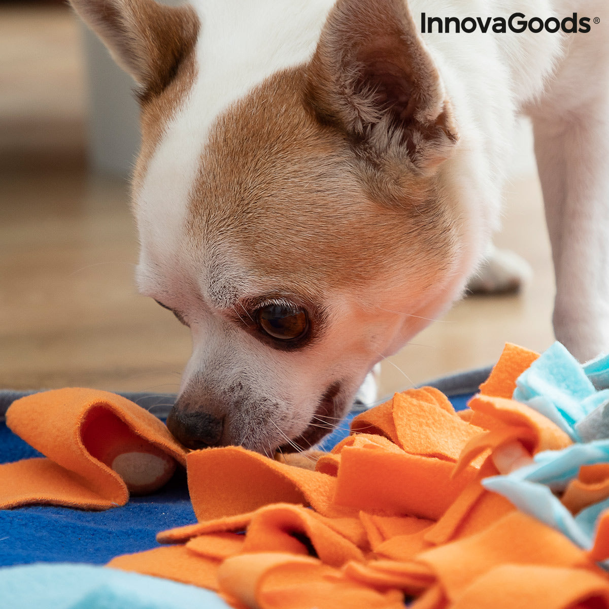 Tapis de Reniflage pour Animaux Fooland InnovaGoods