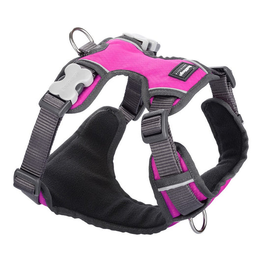 Harnais chien Red Dingo Rembourré Taille M Fuchsia