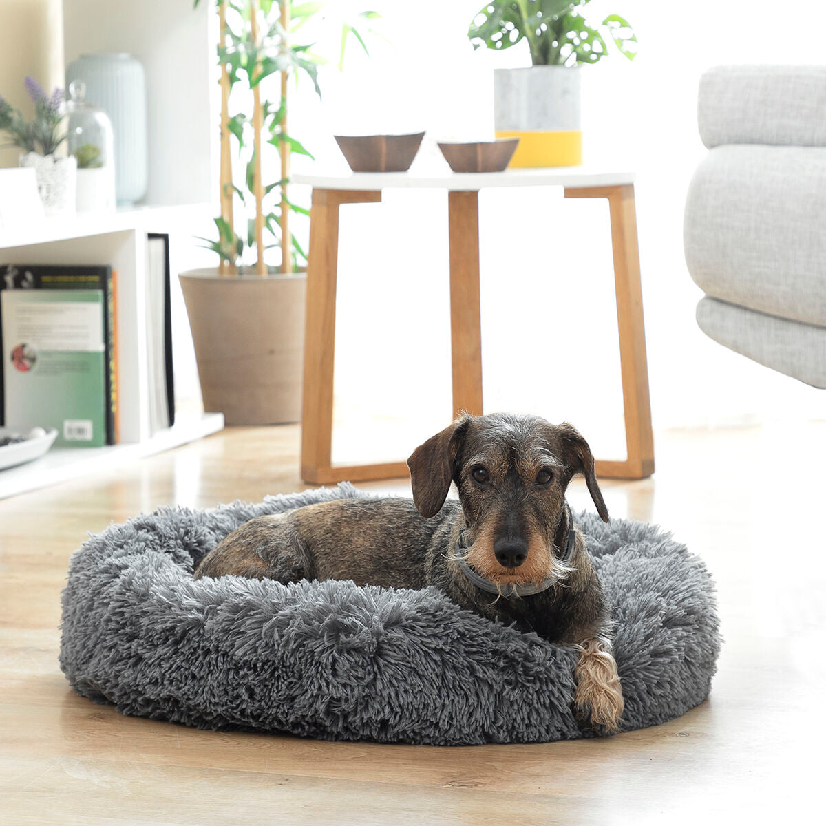 Lit anti-stress pour animaux Bepess InnovaGoods Ø 60 cm