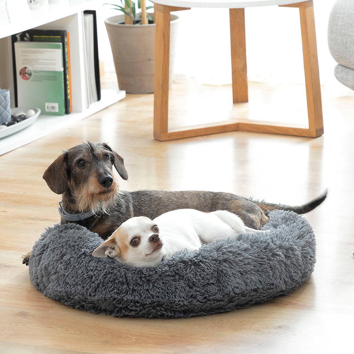 Lit anti-stress pour animaux Bepess InnovaGoods Ø 60 cm