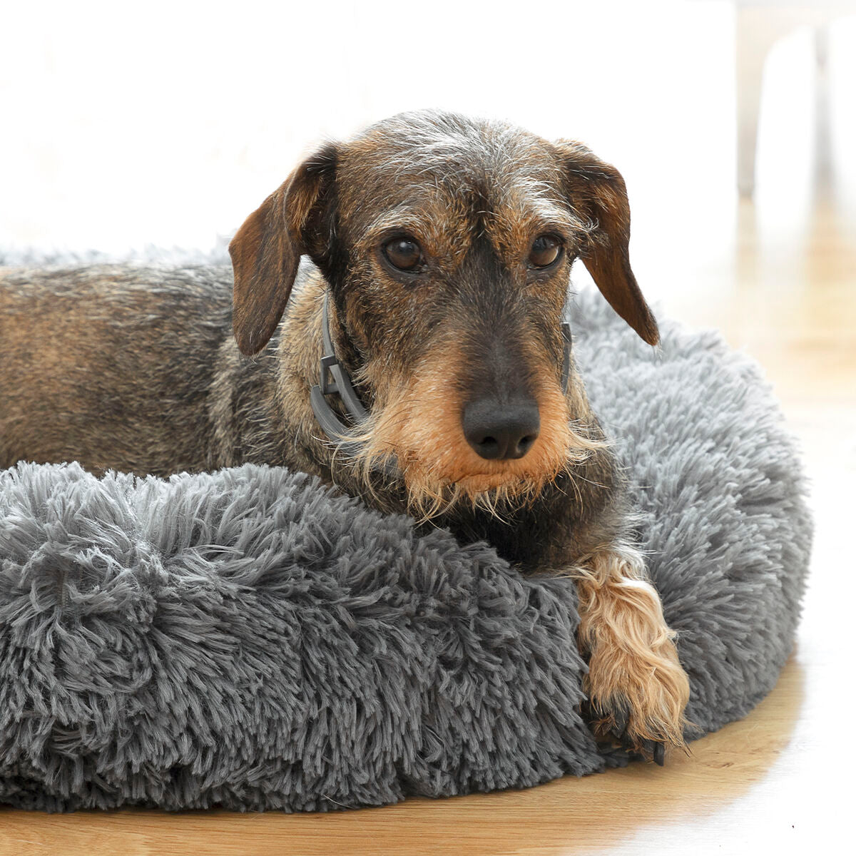 Lit anti-stress pour animaux Bepess InnovaGoods Ø 60 cm