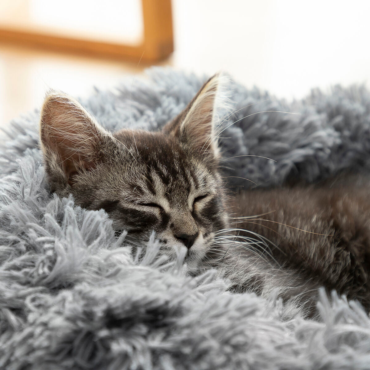 Lit anti-stress pour animaux Bepess InnovaGoods Ø 60 cm
