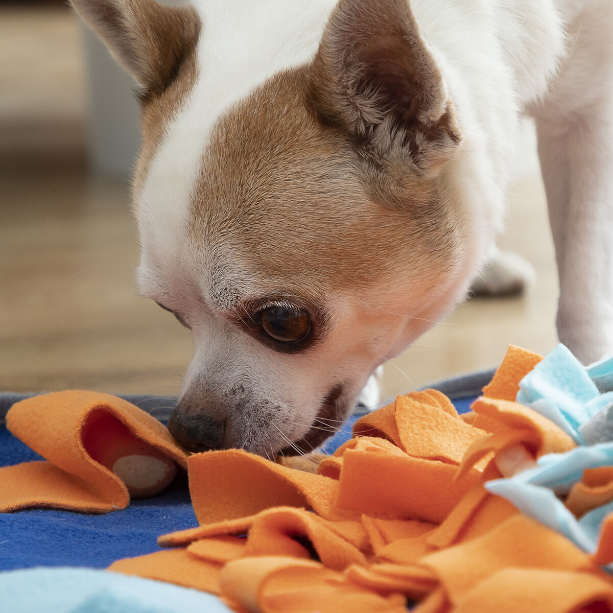 Tapis de Reniflage pour Animaux Fooland InnovaGoods